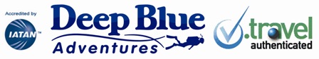 deep blue logo