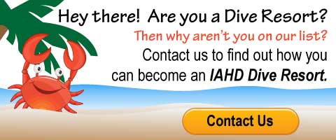 resort contact us